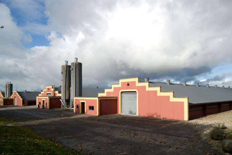 Hühnerzucht mit gradlinigem Stil, Kongsvad Møllevej 6, 9500 Hobro